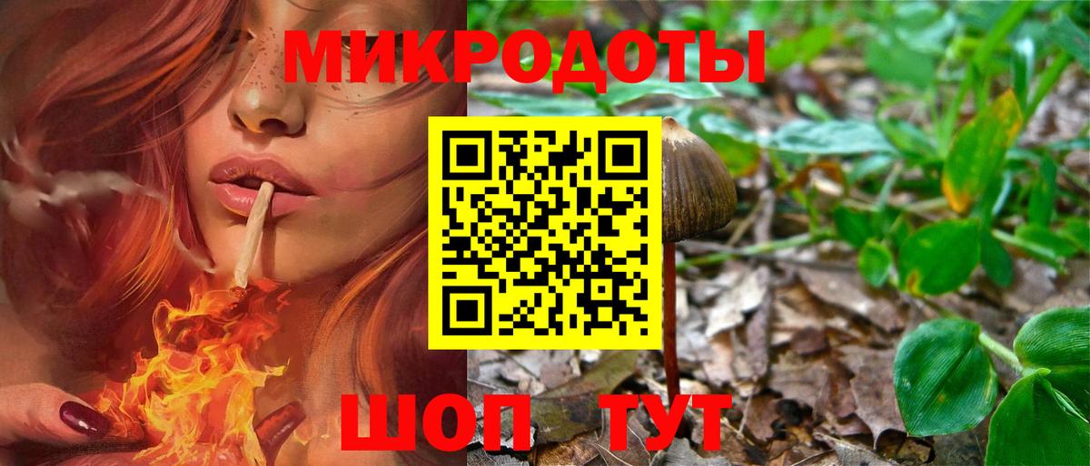 Псилоцибиновые грибы Magic Shrooms Богородск