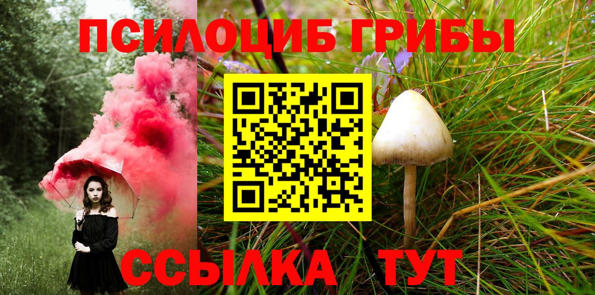 Псилоцибиновые грибы ЛСД  Вход с VPN  Богородск  Псилоцибиновые грибы Magic Shrooms 